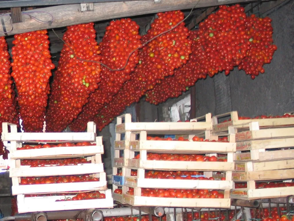 Pomodorino Del Piennolo Del Vesuvio DOP Vendita Online