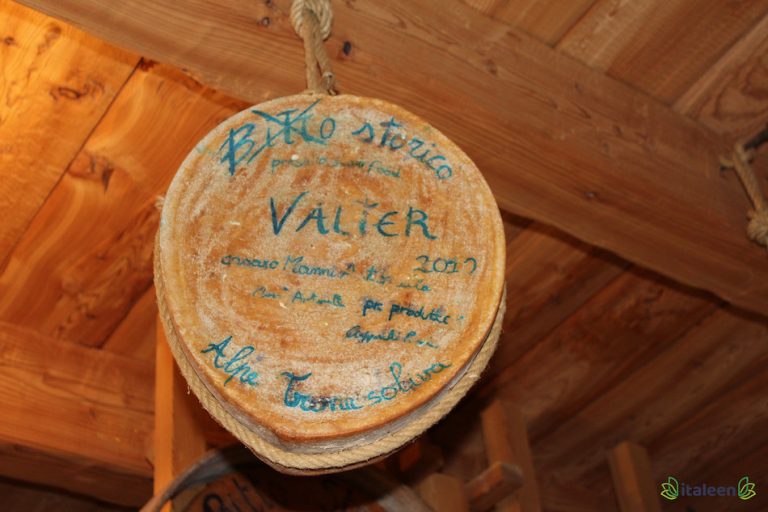 Storico Ribelle (Ex Bitto) - Formaggio Tipico delle Alpi Orobie