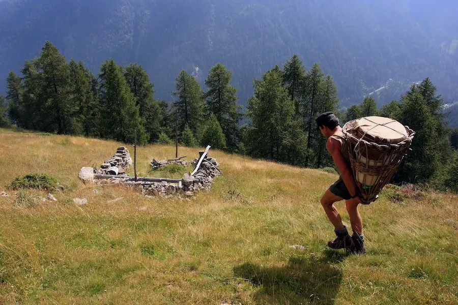Formaggio Storico Ribelle (Ex Bitto) | Vendita Online